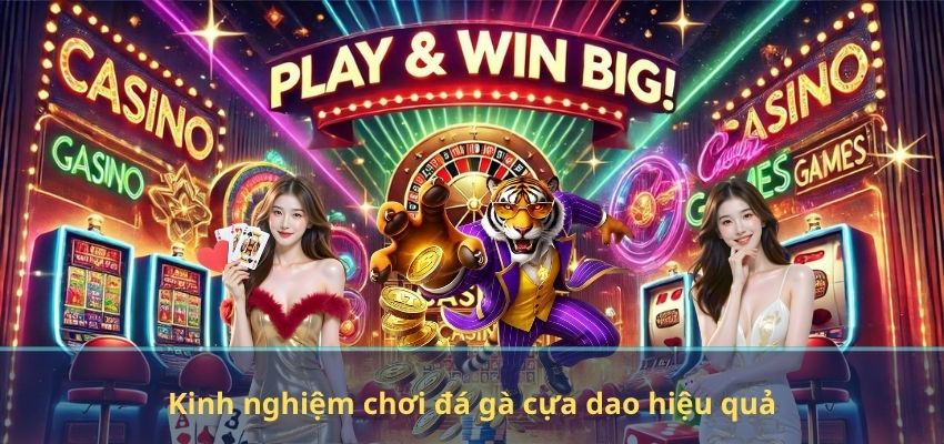 Đá Gà Cựa Dao Tại NEW88 – Trải Nghiệm Kịch Tính Với Những Trận Đấu Đỉnh Cao Kinh nghiệm chơi đá gà cựa dao hiệu quả
