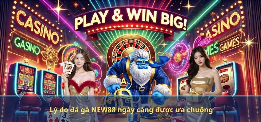 Những Biến Đổi Văn Hóa Của Đá Gà Online NEW88 – Góc Nhìn Toàn Diện Lý do đá gà NEW88 ngày càng được ưa chuộng